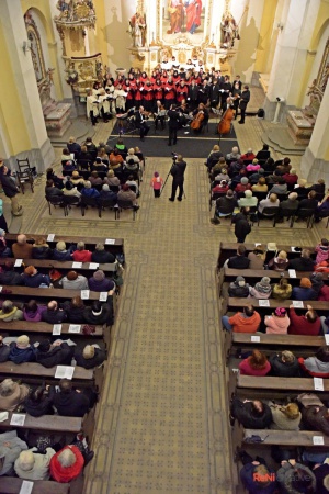 Koncert ve světle hudby - Kostel sv. Petra a Pavla Osek